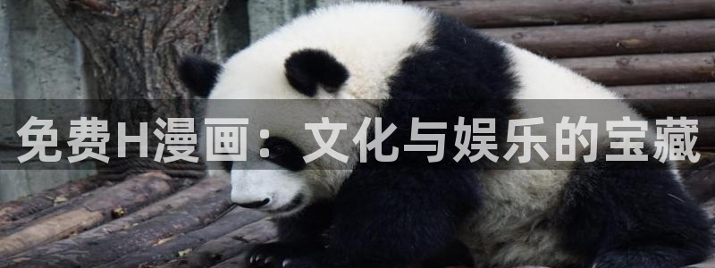 51漫画网站大全：免费H漫画：文化与娱乐的宝藏